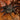 Liphistius sp. "Khao Luang Big Black" Spider 1.5-2"