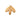 Temperate Leaf Litter - Live Oak