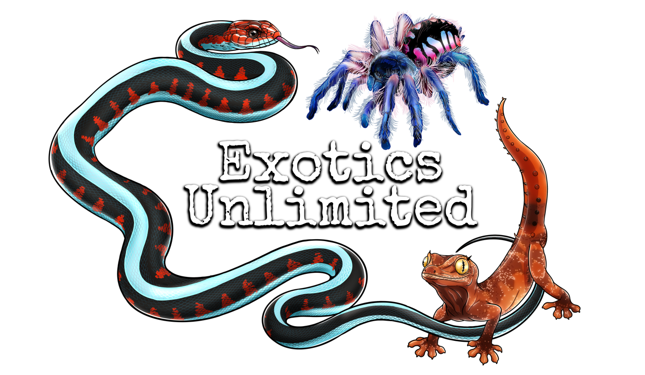 Exotics Unlimited