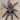 Psalmopoeus sp. "Santo Domingo" 0.75" *NEW SPECIES*