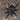 Pamphobeteus sp. 'magnanegra' Tarantula 2" FEMALE