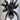 Phormictopus sp. 'Dominican Purple' Tarantula 0.75-1"