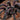 Phormictopus sp. Bayahibe (Neon Pink Bird Eater Tarantula) 1-1.5"