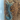 Ethmostigumus sp. Borneo Blue (Subscribe for Back-in-Stock Notifications)