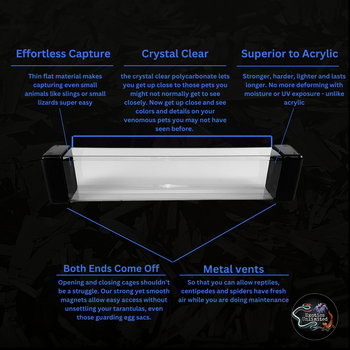 4"x4"x12" Square Ventilated Catch Tube (Ground Shipping Included)
