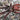 Amazonius elenae (Ecuadorian Tree Spider) 2.5"