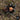 Brachypelma albiceps, Golden Red Rump tarantula.
