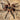 Theraphosidae sp 'Subaureum' Tarantula 0.5" RARE