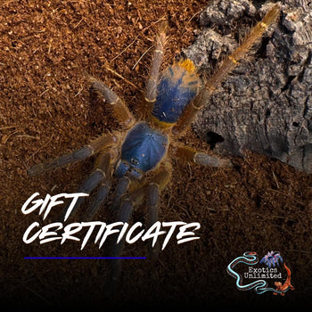 Exotics Unlimited Gift Card