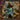 Dolichothele diamantinensis Blue Dwarf Beauty Tarantula