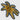 N-3IO - Neoholothele Incei (Trinidad Gold Tarantula) 2" x 1.9"  Indoor/Outdoor Stickers LIMITED EDITION