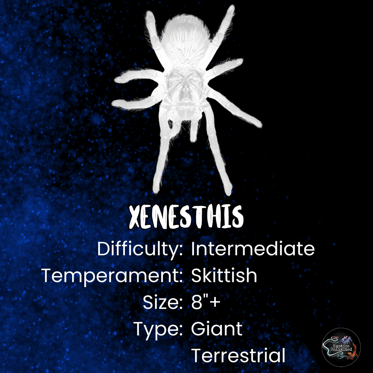 Xenesthis_29de14b4-50fe-4e7d-
