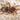 Cyriocosmus aueri (Peruvian Dwarf Redleg Tarantula)
