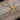 Heteropoda boiei (Lichen Huntsman Spider) 1" CBB Slings