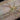 Heteropoda boiei, Lichen Huntsman spider.