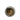 Feeder Black Soldier Fly Larvae