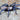 Ischnocolus jickelii (Dhofar Blue Dwarf Tarantula) *NEW*