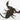Hadogenes paucidens (Olive Keeled Flat Rock Scorpion)