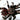 Vitalius (Ex. Nhandu) chromatus (Brazilian Red & White Tarantula)