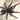 Psednocnemis brachyramosa (Malaysian Blue Femur Tarantula)