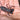 Thai Black Vinegaroons (Typopeltis sp.) Scorpion