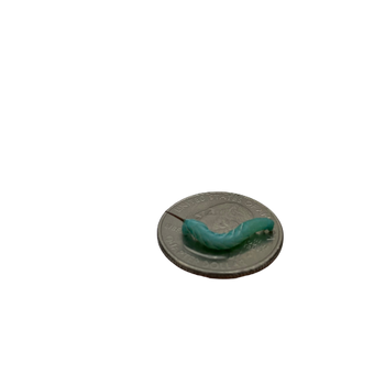 Feeder Hornworms