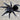 Tliltocatl (Brachypelma) schroederi (Mexican Black Velvet Tarantula) 1.5"