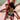 Theraphosinae sp "Magma" (Peruvian Magma Tarantula) 1”+