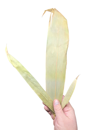 Bamboo Leaf Litter