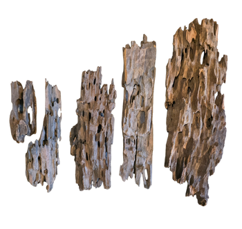 Dragon Wood