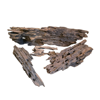 Dragon Wood
