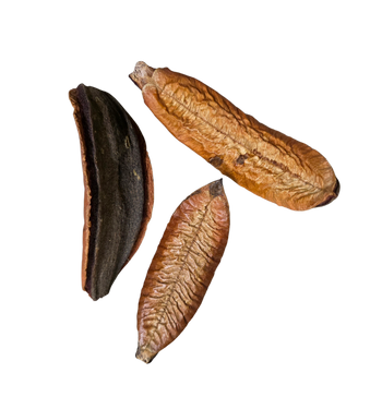 Mountain Pod