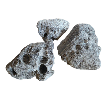Peruvian Pumice Rock
