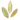 Guava Leaf Litter