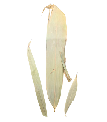 Bamboo Leaf Litter