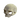 Human Skull Replica Hide