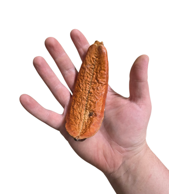 Mountain Pod