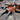 Theraphosinae sp "Mandarin" (Orange Blush Tarantula)