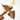 Deroplatys truncata (Triangle Dead Leaf Mantis) 0.5"