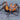 Liphistius yangae (Thailand Orange Trapdoor Spider) 0.25”