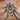 Ceratogyrus marshalli (Straight Horned Baboon) FEMALE 2-2.5"