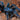 Phormictopus sp. 'Blue Azul' (Dominican Blue Bird Eater Tarantula) 1-1.5" *VERY RARE*