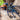 Chromatopelma cyaneopubescens (Green Bottle Blue Tarantula) 2-2.5"