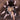 Aphonopelma chalcodes (Arizona Blonde Tarantula) "Flagstaff Orange" locality 0.5"