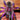 Xenesthis sp 'White' Tarantula Unrelated Sexed 4" M & 5-6" F PAIR
