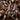 Poecilotheria hanumavilasumica  (Rameshwaram Ornamental Tarantula)