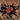 Bumba sp. 'Tapajos' (Tapajos Pink Head Tarantula) about 1.5"