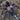 Euathlus sp. 'crema costera' (Chilean Cream Flame Tarantula) 1-1.5"