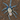 Haplopelma robustum (Ex. Cyriopagopus robustus) (Malaysia Blue Femur Tarantula) 2-2.5"